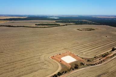 Farm Sold - WA - Mallee Hill - 6353 - Fatima Fields - FOR SALE OR LEASE  (Image 2)