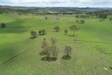 Farm For Sale - QLD - Emu Creek - 4355 - Sandy Creek - Retirement has arrived for our owner of this quality breeder, backgrounding property.  (Image 2)