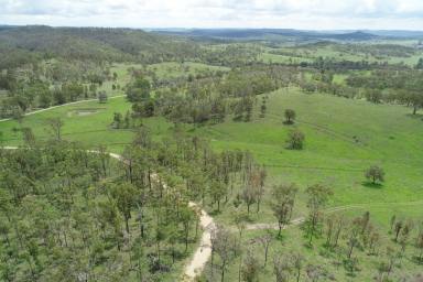 Farm For Sale - QLD - Emu Creek - 4355 - Sandy Creek - Retirement has arrived for our owner of this quality breeder, backgrounding property.  (Image 2)