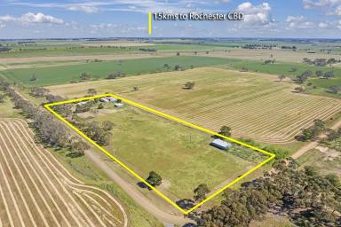 Farm For Sale - VIC - Corop - 3559 - Take a Look...  (Image 2)