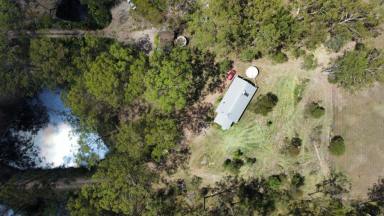 Farm Sold - QLD - Glenwood - 4570 - COUNTRY HIDEAWAY TO CALL HOME  (Image 2)