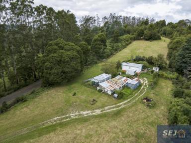 Farm Sold - VIC - Toora - 3962 - Rainforest retreat with rustic getaway  (Image 2)