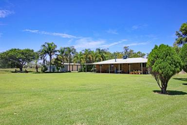 Farm Sold - QLD - Callide - 4715 - Callide Valley Grazing & Cropping Options  (Image 2)