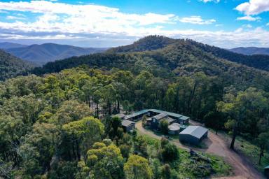 Farm Sold - VIC - Woolenook - 3860 - OFF GRID!  GREAT BUSINESS OPPORTUNITY OR 7 LOG CABIN HOMES ON 23.67HA OF MAGNIFICENT HIGH COUNTRY BUSHLAND "WOMBAT VALLEY LOG CABINS"  (Image 2)