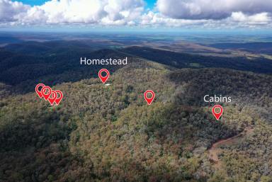 Farm Sold - VIC - Woolenook - 3860 - OFF GRID!  GREAT BUSINESS OPPORTUNITY OR 7 LOG CABIN HOMES ON 23.67HA OF MAGNIFICENT HIGH COUNTRY BUSHLAND "WOMBAT VALLEY LOG CABINS"  (Image 2)
