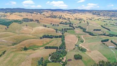 Farm For Sale - VIC - Mirboo - 3871 - PRIVATE GETAWAY  (Image 2)