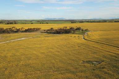 Farm Sold - WA - Mindarabin - 6336 - Meenup  (Image 2)