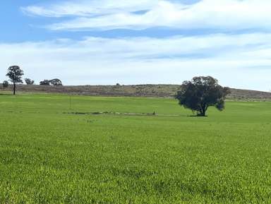 Farm Sold - NSW - Grenfell - 2810 - On the Town's Doorstep  (Image 2)