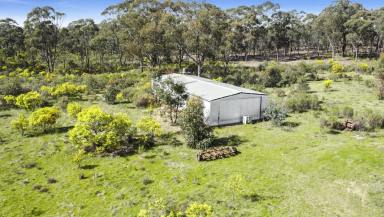 Farm For Sale - VIC - Moormbool West - 3523 - EXPANSIVE 40 ACRES WITH A LARGE SHED  (Image 2)