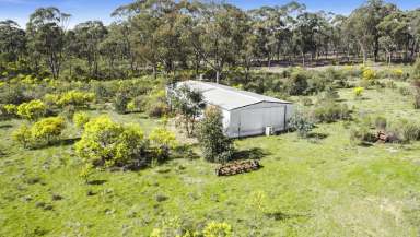 Farm Sold - VIC - Moormbool West - 3523 - EXPANSIVE 40 ACRES WITH A LARGE SHED  (Image 2)