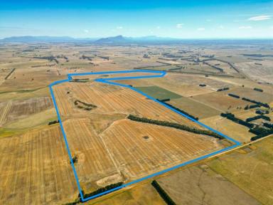 Farm Sold - VIC - Croxton East - 3301 - AUCTION CROPPING 331.69 Ac - 134.23 Ha  (Image 2)