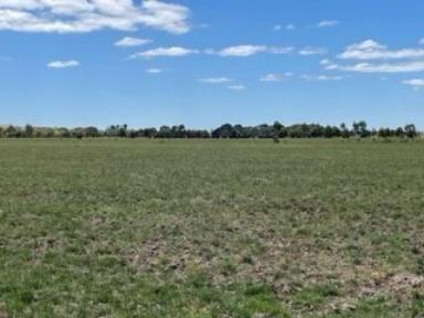 Farm For Sale - VIC - Terang - 3264 - 160 acres Lifestyle / Hobby farm / Livestock / Cropping  (Image 2)