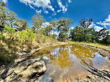 Farm For Sale - NSW - Paynes Crossing - 2325 - Quiet Bushland Hideaway  (Image 2)
