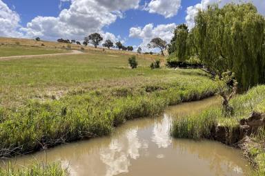Farm Sold - NSW - Taylors Flat - 2586 - ESCAPE TO THE COUNTRY WITH 108AC* WITH A PICTURESQUE OUTLOOK!  (Image 2)
