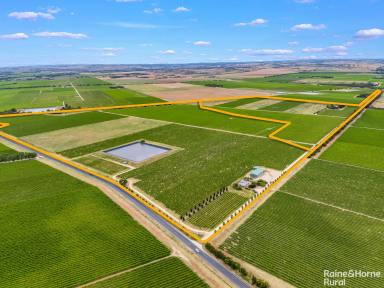 Farm For Sale - SA - Langhorne Creek - 5255 - Uncork the lifestyle & development potential of "Pecador" on 2 titles of 95 vine-rich hectares.  (Image 2)