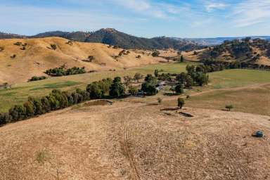 Farm Sold - NSW - Tumut - 2720 - High rainfall grazing minutes to Tumut  (Image 2)