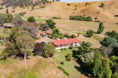 Farm Sold - NSW - Tumut - 2720 - High rainfall grazing minutes to Tumut  (Image 2)