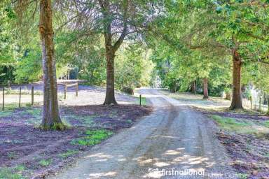 Farm Sold - VIC - Healesville - 3777 - Dual Living on a Private 16 Acre Estate in Heart of Healesville  (Image 2)