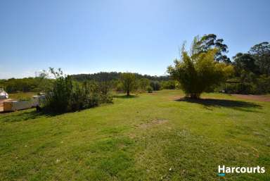 Farm For Sale - QLD - Booyal - 4671 - OFF GRID OASIS  (Image 2)