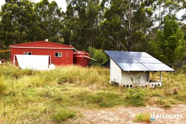 Farm For Sale - QLD - Booyal - 4671 - OFF GRID OASIS  (Image 2)