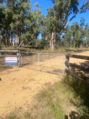 Farm Sold - NSW - Warialda - 2402 - ONLINE AUCTION  (Image 2)