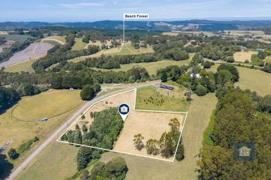 Farm For Sale - VIC - Beech Forest - 3237 - Create your perfect piece of paradise!  (Image 2)