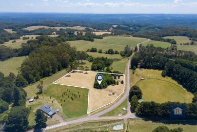 Farm For Sale - VIC - Beech Forest - 3237 - Create your perfect piece of paradise!  (Image 2)