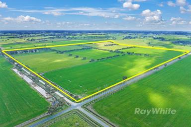 Farm For Sale - VIC - Stanhope - 3623 - Welcome to Rinneen  (Image 2)