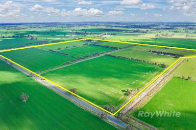 Farm For Sale - VIC - Stanhope - 3623 - Welcome to Rinneen  (Image 2)