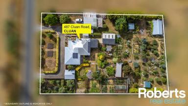 Farm Sold - TAS - Cluan - 7303 - Looking for a lifestyle change on 4000m²?  (Image 2)