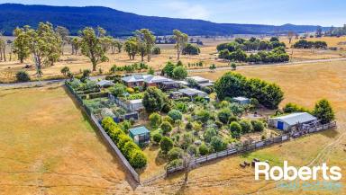 Farm Sold - TAS - Cluan - 7303 - Looking for a lifestyle change on 4000m²?  (Image 2)