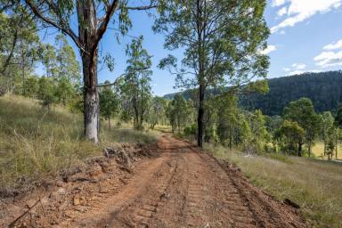 Farm Sold - NSW - Blaxlands Creek - 2460 - Acreage Property Minutes from Nymboida  (Image 2)