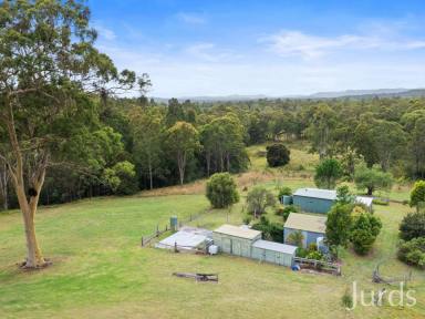 Farm For Sale - NSW - Millfield - 2325 - WEEKEND WONDER  (Image 2)