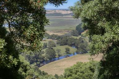 Farm For Sale - VIC - Hordern Vale - 3238 - CAPTIVATING GREAT OCEAN ROAD PROPERTY  (Image 2)