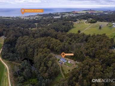 Farm Sold - TAS - Penguin - 7316 - Penguin Lifestyle Bushland Retreat!  (Image 2)