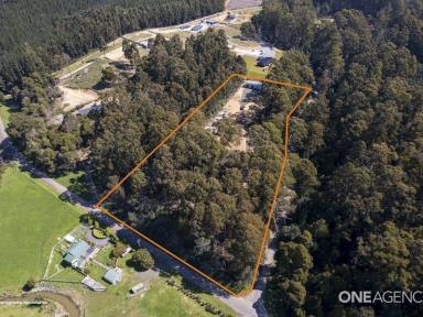 Farm Sold - TAS - Wynyard - 7325 - 5 Acres, 5 Minutes From Town!  (Image 2)