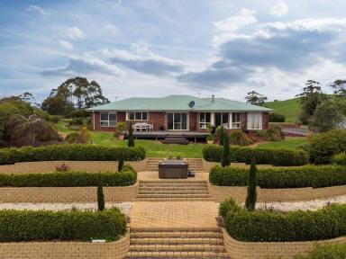 Farm Sold - TAS - Mount Hicks - 7325 - Oh What A View! Stunning Location!  (Image 2)