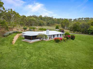 Farm Sold - QLD - Top Camp - 4350 - “Curragh Views” Rural Lifestyle with Residential Convenience!  (Image 2)