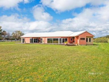 Farm Sold - TAS - Smithton - 7330 - Architecturally designed home on 2 acres  (Image 2)