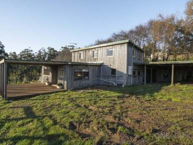 Farm Sold - TAS - Natone - 7321 - Tree House On 3 Acres!  (Image 2)