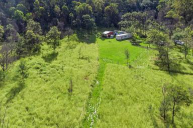 Farm Sold - NSW - Putty - 2330 - 100 Acres - Perfect Weekender  (Image 2)