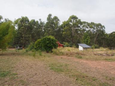 Farm For Sale - QLD - Booyal - 4671 - VENDORS NEED TO MAKE A MOVE - OFF GRID LIFESTYLE  (Image 2)