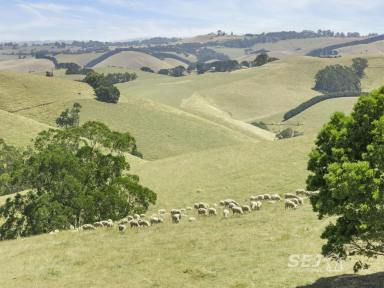 Farm Sold - VIC - Dollar - 3871 - "Gippsland's own high-country grazing"  (Image 2)