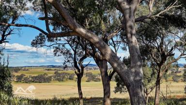 Farm For Sale - NSW - Boomey - 2866 - Just the most beautiful block you'll ever find!  (Image 2)