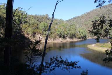 Farm Sold - NSW - Brogo - 2550 - ANIMAL LOVERS PARADISE  (Image 2)