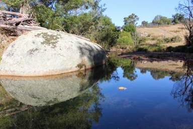 Farm Sold - NSW - Brogo - 2550 - ANIMAL LOVERS PARADISE  (Image 2)