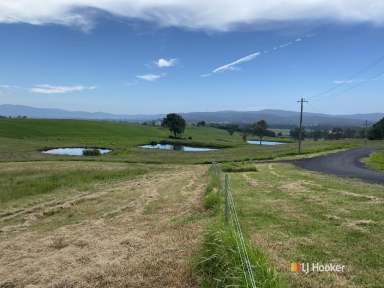 Farm Sold - NSW - Bega - 2550 - BEST VACANT LAND IN BEGA  (Image 2)