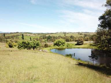 Farm Sold - NSW - Bega - 2550 - "KALIMNAH" SOUTH BEGA  (Image 2)