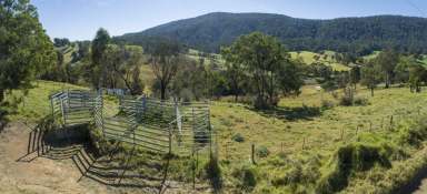 Farm Sold - NSW - Bega - 2550 - THIS IS NOT SIMPLY YOUR NEW ADDRESS BUT A HIGHLY SOUGHT-AFTER LIFESTYLE  (Image 2)