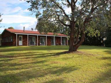 Farm Sold - NSW - Bega - 2550 - OLD AD - SMALL FARM - 10 MINUTES TO BEGA  (Image 2)